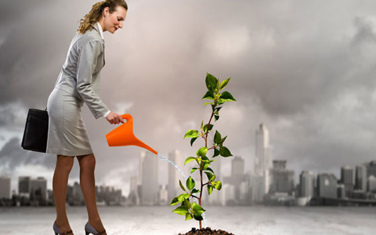 Web Design Company in Kurnool Web Design Company in Kurnool